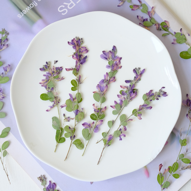 6pcs,nature Lespedeza Formosa  - Resin Art And Jewelry recension och pris
