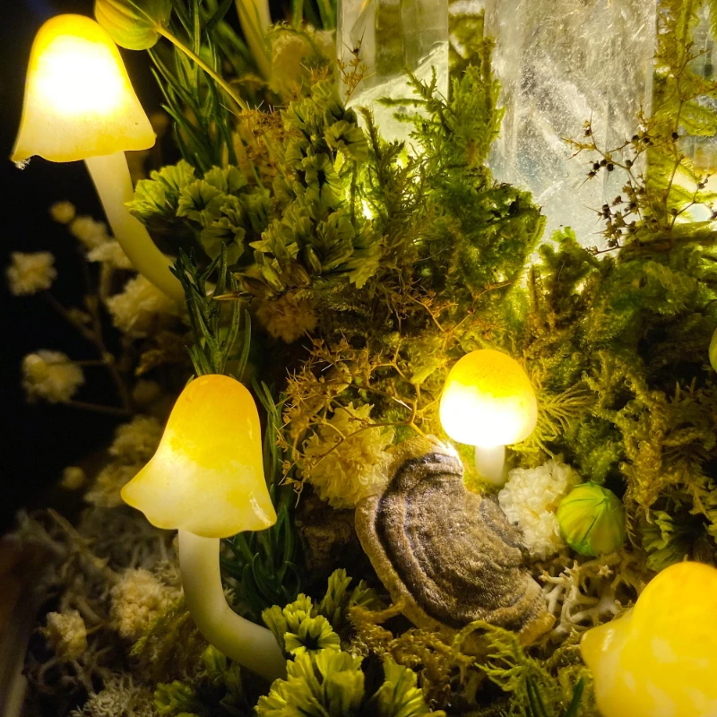 Enchanted Forest Mushroom Nigh - Resin Art On Wood recension och pris